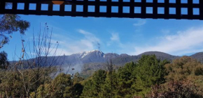 View Mount